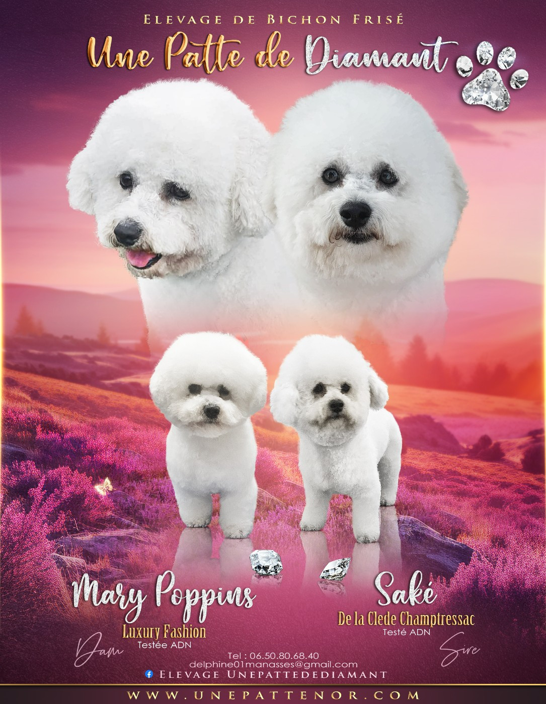 saillie saké et poppins