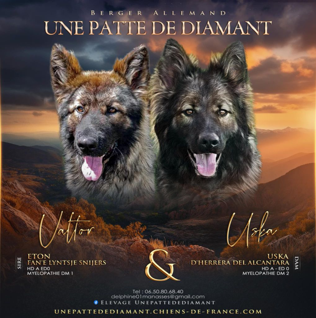 mariage uska  /valtor